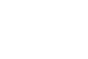 maraichi precio